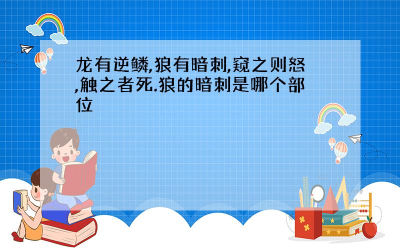 龙有逆鳞,狼有暗刺,窥之则怒,触之者死.狼的暗刺是哪个部位