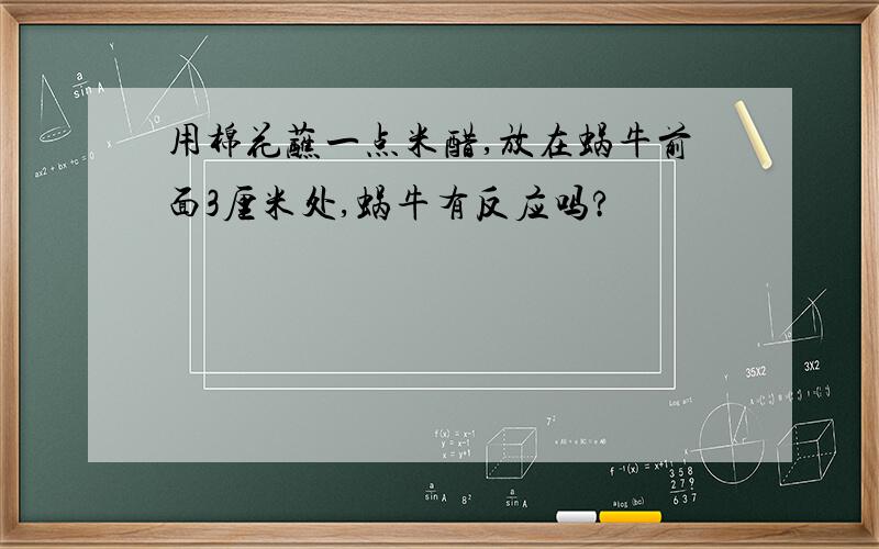 用棉花蘸一点米醋,放在蜗牛前面3厘米处,蜗牛有反应吗?