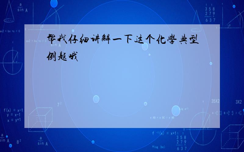 帮我仔细讲解一下这个化学典型例题哦