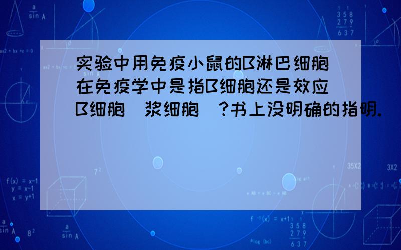 实验中用免疫小鼠的B淋巴细胞在免疫学中是指B细胞还是效应B细胞（浆细胞）?书上没明确的指明.