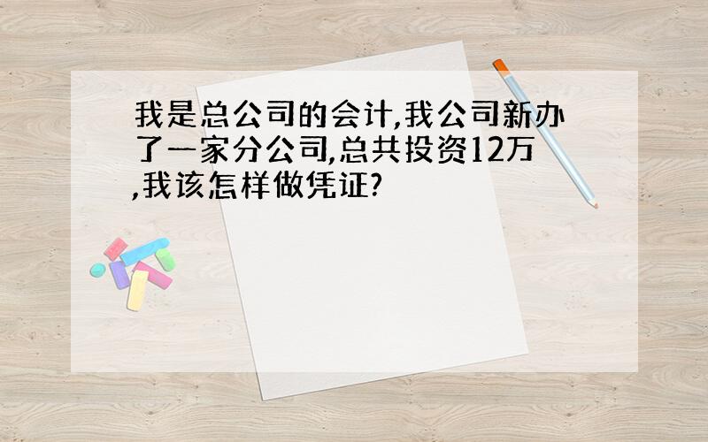 我是总公司的会计,我公司新办了一家分公司,总共投资12万,我该怎样做凭证?