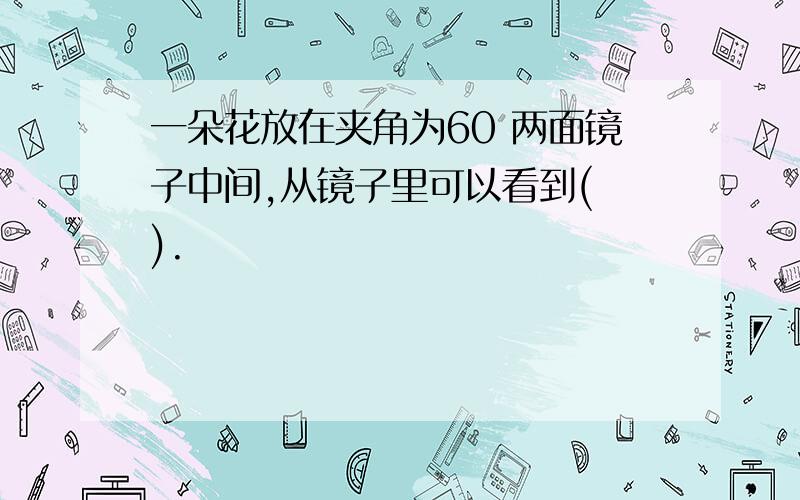 一朵花放在夹角为60 两面镜子中间,从镜子里可以看到( ).