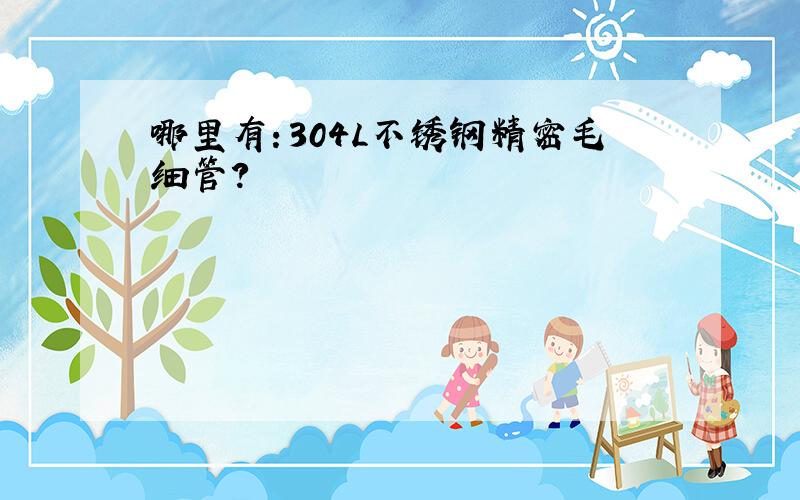 哪里有：304L不锈钢精密毛细管?