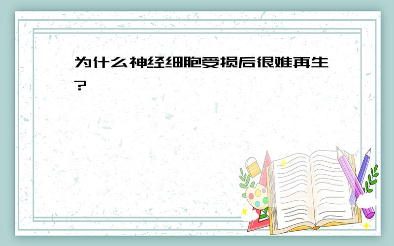 为什么神经细胞受损后很难再生?