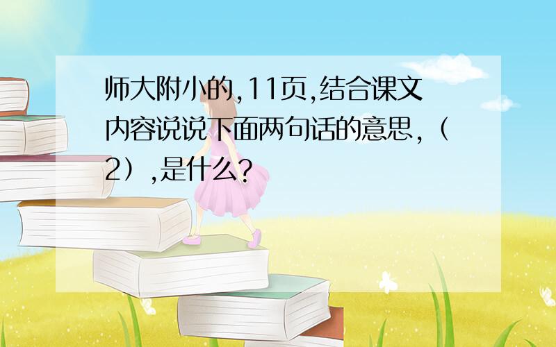 师大附小的,11页,结合课文内容说说下面两句话的意思,（2）,是什么?