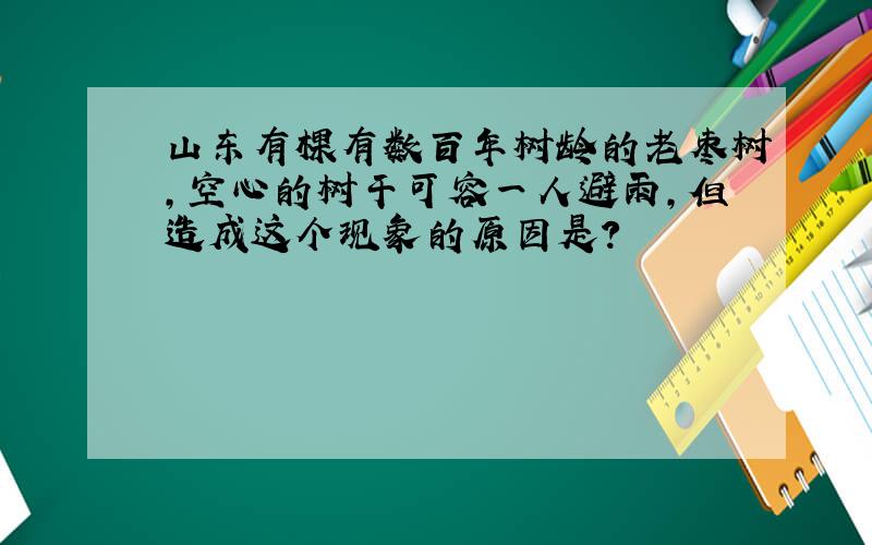 山东有棵有数百年树龄的老枣树,空心的树干可容一人避雨,但造成这个现象的原因是?