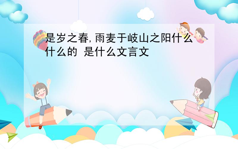 是岁之春,雨麦于岐山之阳什么什么的 是什么文言文