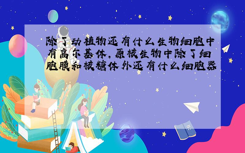 除了动植物还有什么生物细胞中有高尔基体,原核生物中除了细胞膜和核糖体外还有什么细胞器