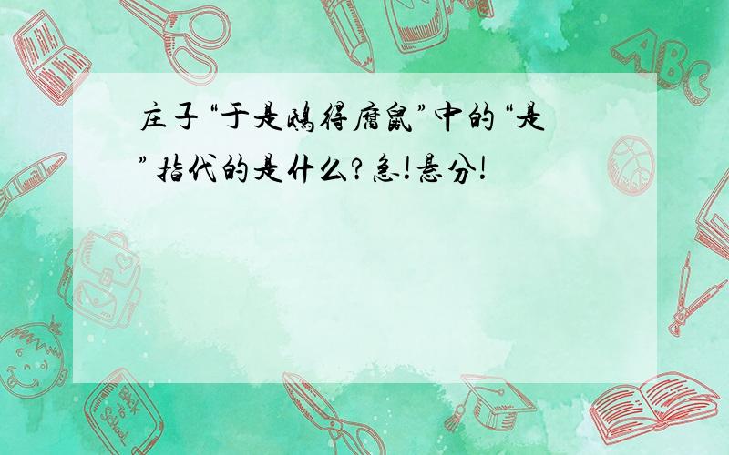 庄子“于是鸱得腐鼠”中的“是”指代的是什么?急!悬分!