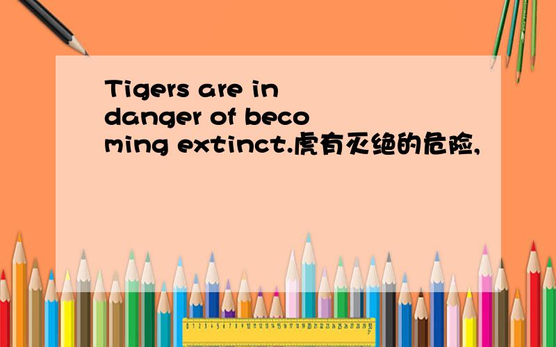 Tigers are in danger of becoming extinct.虎有灭绝的危险,