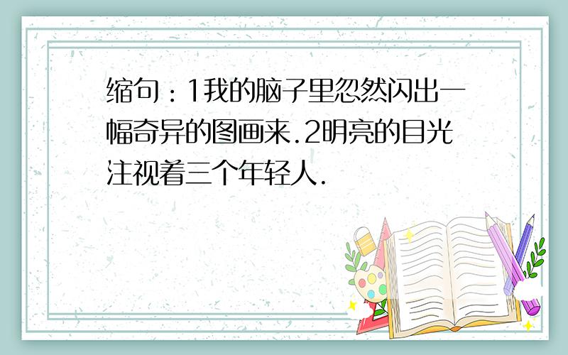 缩句：1我的脑子里忽然闪出一幅奇异的图画来.2明亮的目光注视着三个年轻人.