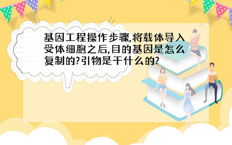 基因工程操作步骤,将载体导入受体细胞之后,目的基因是怎么复制的?引物是干什么的?