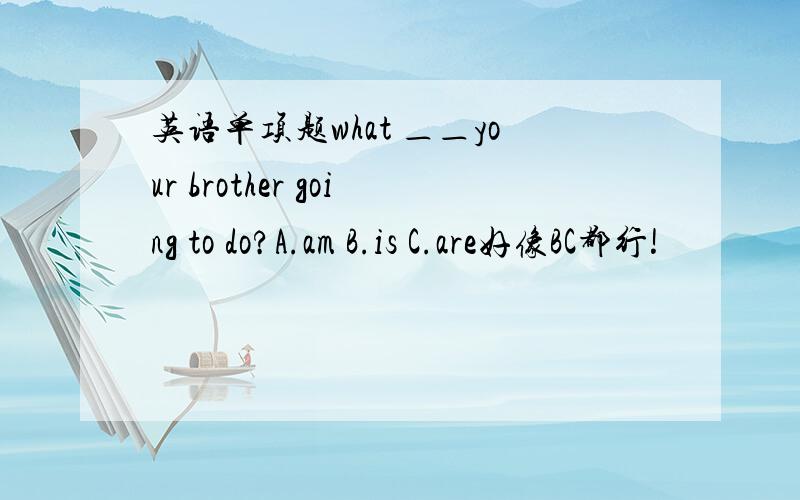 英语单项题what ＿＿your brother going to do?A.am B.is C.are好像BC都行!