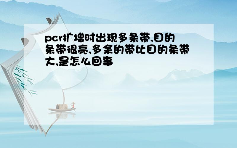 pcr扩增时出现多条带,目的条带很亮,多余的带比目的条带大,是怎么回事