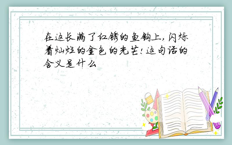 在这长满了红锈的鱼钩上,闪烁着灿烂的金色的光芒!这句话的含义是什么