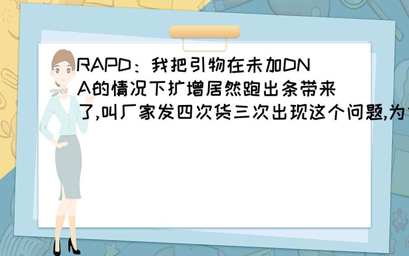 RAPD：我把引物在未加DNA的情况下扩增居然跑出条带来了,叫厂家发四次货三次出现这个问题,为什么?