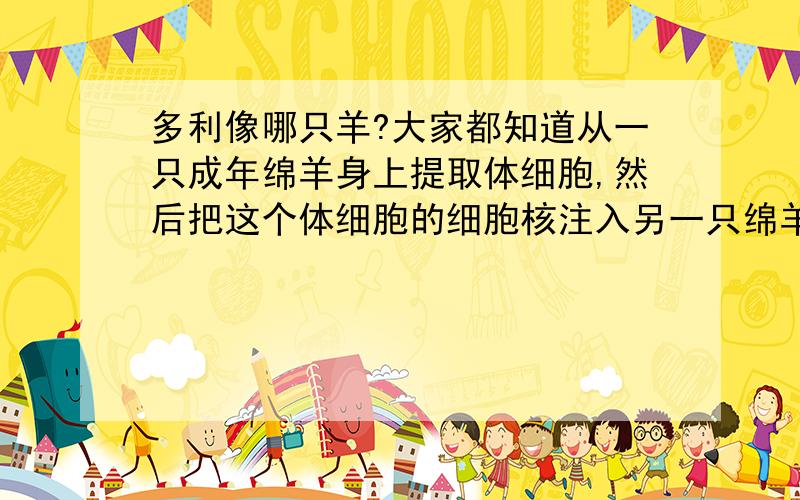 多利像哪只羊?大家都知道从一只成年绵羊身上提取体细胞,然后把这个体细胞的细胞核注入另一只绵羊的卵细胞之中,而这个卵细胞已