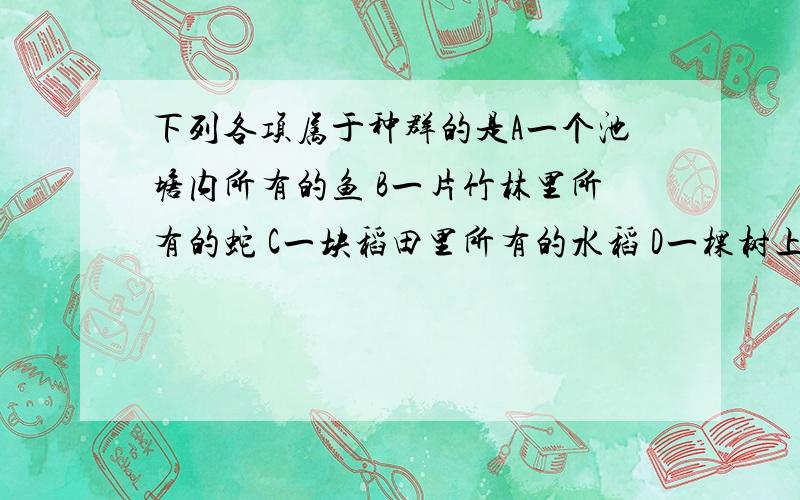 下列各项属于种群的是A一个池塘内所有的鱼 B一片竹林里所有的蛇 C一块稻田里所有的水稻 D一棵树上所有的虫