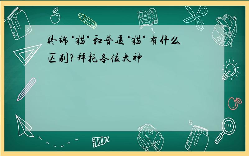 终端“猫”和普通“猫”有什么区别?拜托各位大神