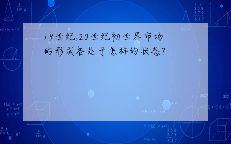 19世纪,20世纪初世界市场的形成各处于怎样的状态?