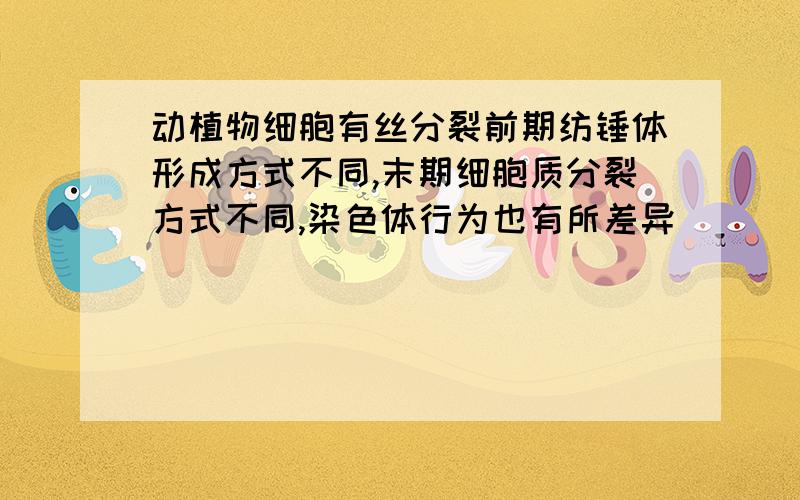 动植物细胞有丝分裂前期纺锤体形成方式不同,末期细胞质分裂方式不同,染色体行为也有所差异