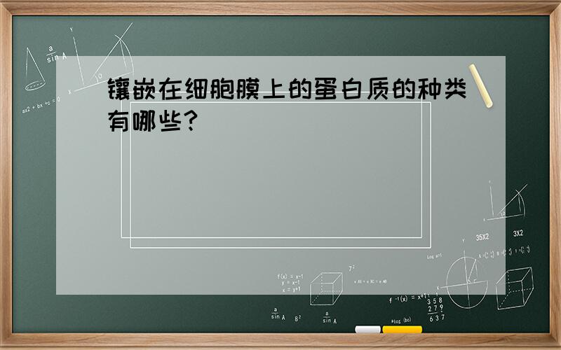 镶嵌在细胞膜上的蛋白质的种类有哪些?