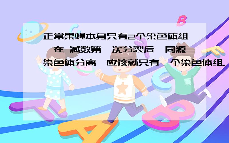 正常果蝇本身只有2个染色体组,在 减数第一次分裂后,同源染色体分离,应该就只有一个染色体组.