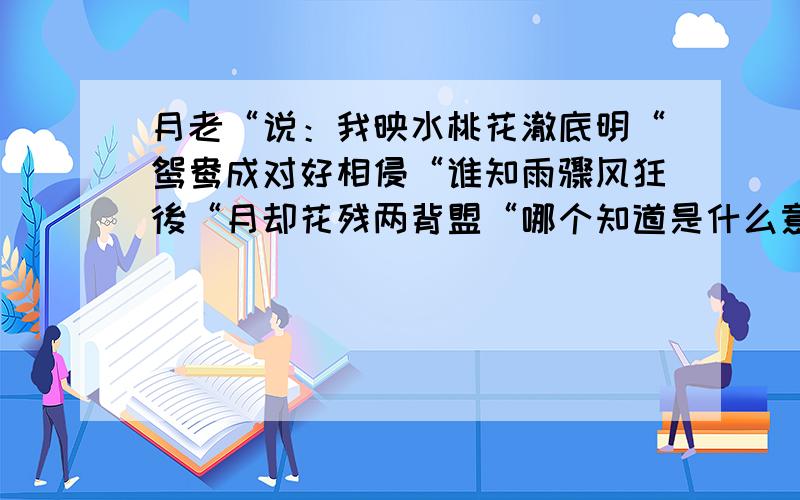 月老“说：我映水桃花澈底明“鸳鸯成对好相侵“谁知雨骤风狂後“月却花残两背盟“哪个知道是什么意思求大