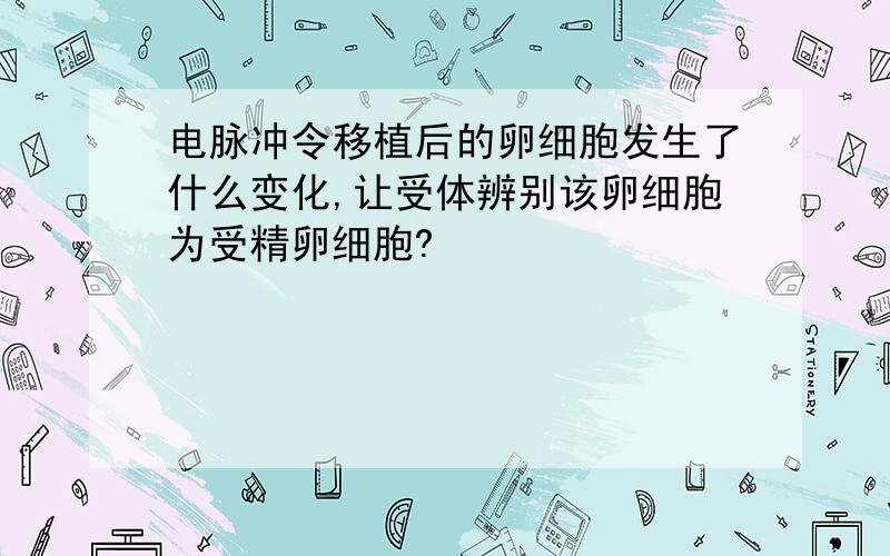 电脉冲令移植后的卵细胞发生了什么变化,让受体辨别该卵细胞为受精卵细胞?