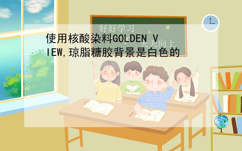 使用核酸染料GOLDEN VIEW,琼脂糖胶背景是白色的