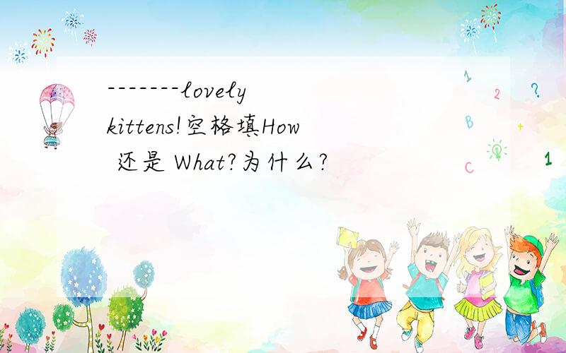 -------lovely kittens!空格填How 还是 What?为什么?