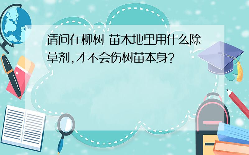 请问在柳树 苗木地里用什么除草剂,才不会伤树苗本身?