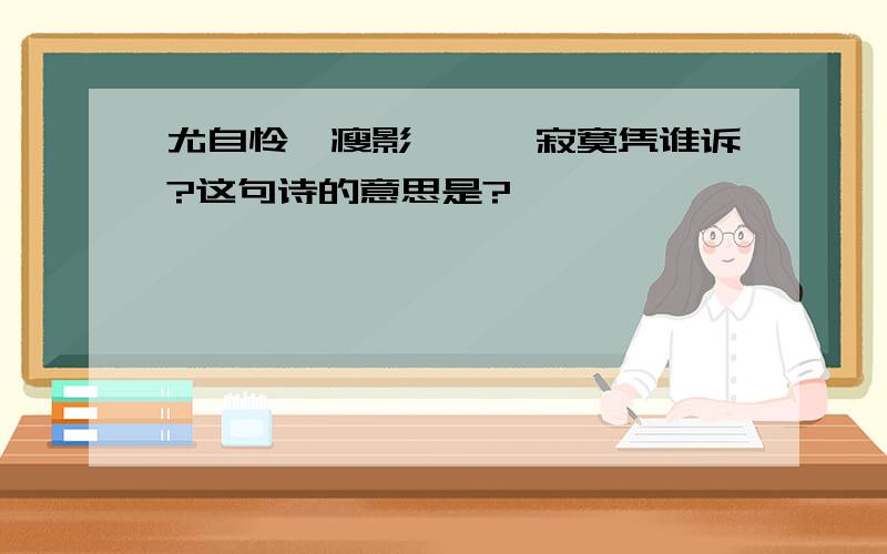 尤自怜、瘦影婵娟,寂寞凭谁诉?这句诗的意思是?