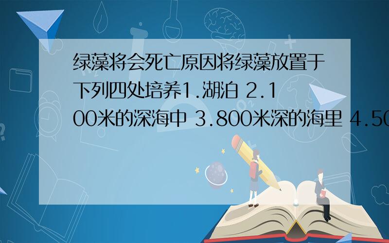 绿藻将会死亡原因将绿藻放置于下列四处培养1.湖泊 2.100米的深海中 3.800米深的海里 4.50米的海中 的是 (