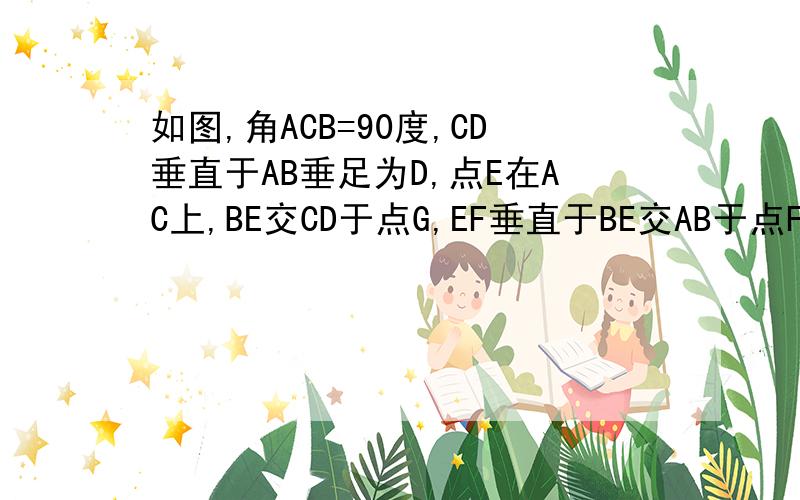 如图,角ACB=90度,CD垂直于AB垂足为D,点E在AC上,BE交CD于点G,EF垂直于BE交AB于点F,若AB=MB