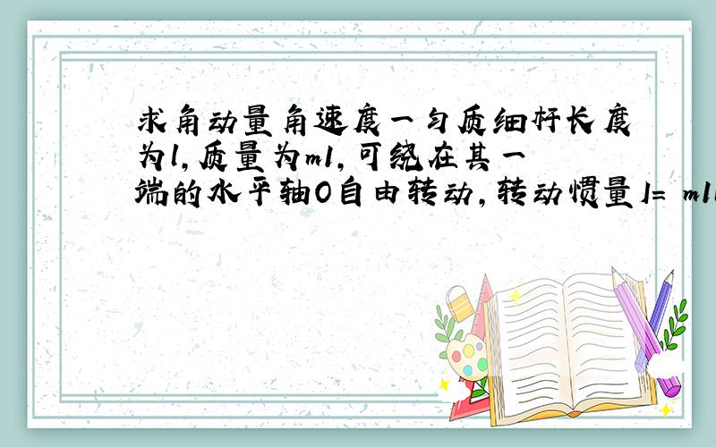 求角动量角速度一匀质细杆长度为l,质量为m1,可绕在其一端的水平轴O自由转动,转动惯量I= m1l2.初时杆自然悬垂,一