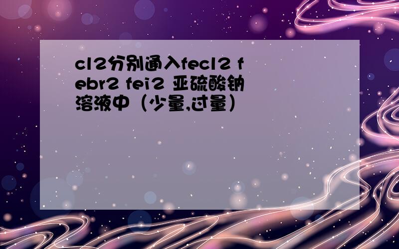 cl2分别通入fecl2 febr2 fei2 亚硫酸钠溶液中（少量,过量）