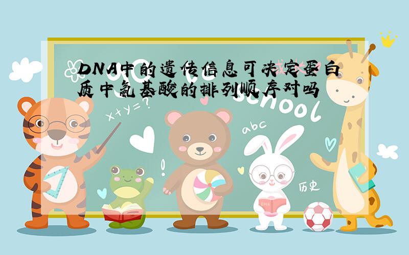 DNA中的遗传信息可决定蛋白质中氨基酸的排列顺序对吗