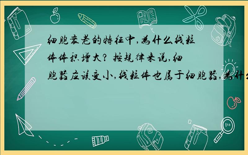 细胞衰老的特征中,为什么线粒体体积增大? 按规律来说,细胞器应该变小,线粒体也属于细胞器,为什么变大.