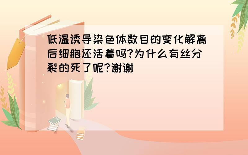 低温诱导染色体数目的变化解离后细胞还活着吗?为什么有丝分裂的死了呢?谢谢