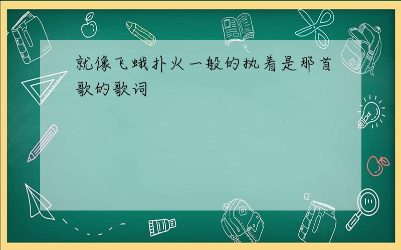 就像飞蛾扑火一般的执着是那首歌的歌词