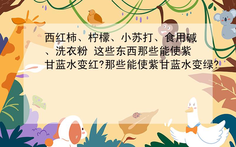 西红柿、柠檬、小苏打、食用碱、洗衣粉 这些东西那些能使紫甘蓝水变红?那些能使紫甘蓝水变绿?