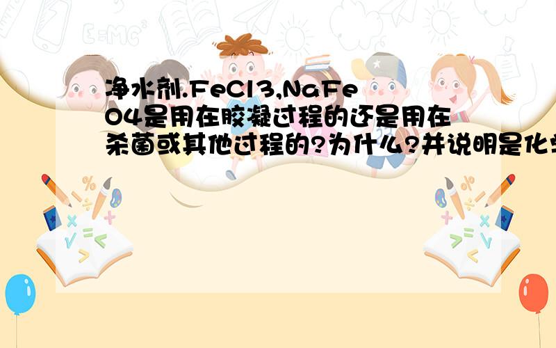 净水剂.FeCl3,NaFeO4是用在胶凝过程的还是用在杀菌或其他过程的?为什么?并说明是化学变化还是物理变化?明矾使悬