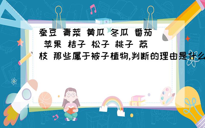 蚕豆 青菜 黄瓜 冬瓜 番茄 苹果 桔子 松子 桃子 荔枝 那些属于被子植物,判断的理由是什么?