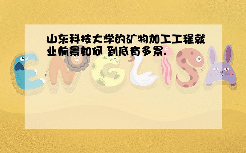 山东科技大学的矿物加工工程就业前景如何 到底有多累.