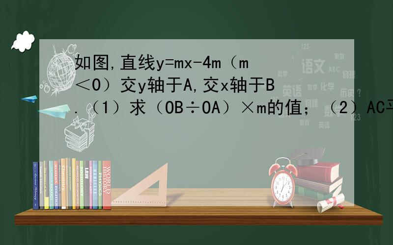 如图,直线y=mx-4m（m＜0）交y轴于A,交x轴于B.（1）求（OB÷OA）×m的值；（2）AC平分∠BAO交OB于