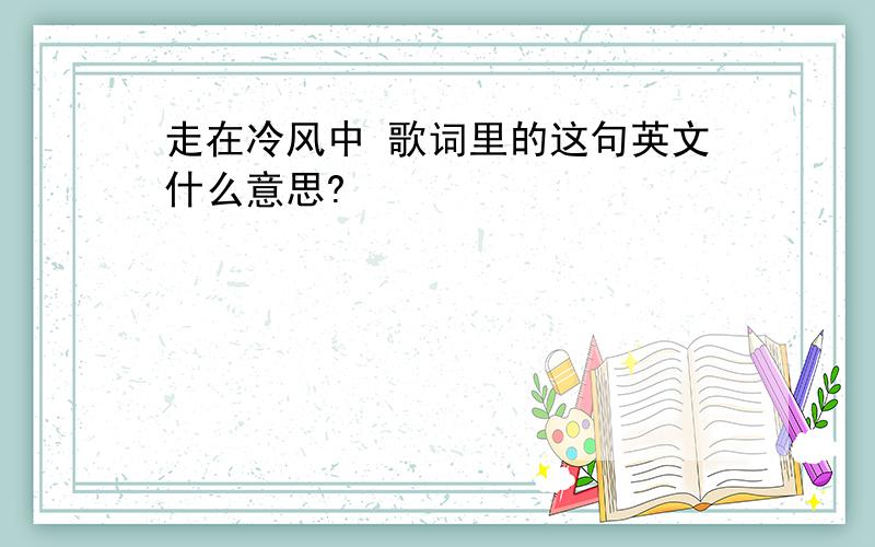 走在冷风中 歌词里的这句英文什么意思?