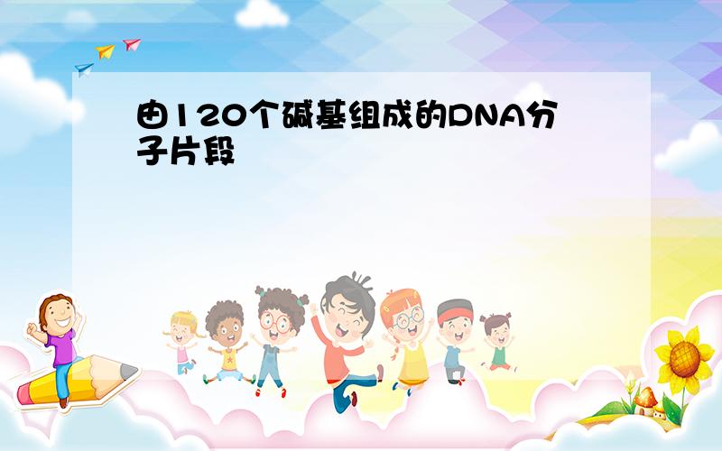 由120个碱基组成的DNA分子片段