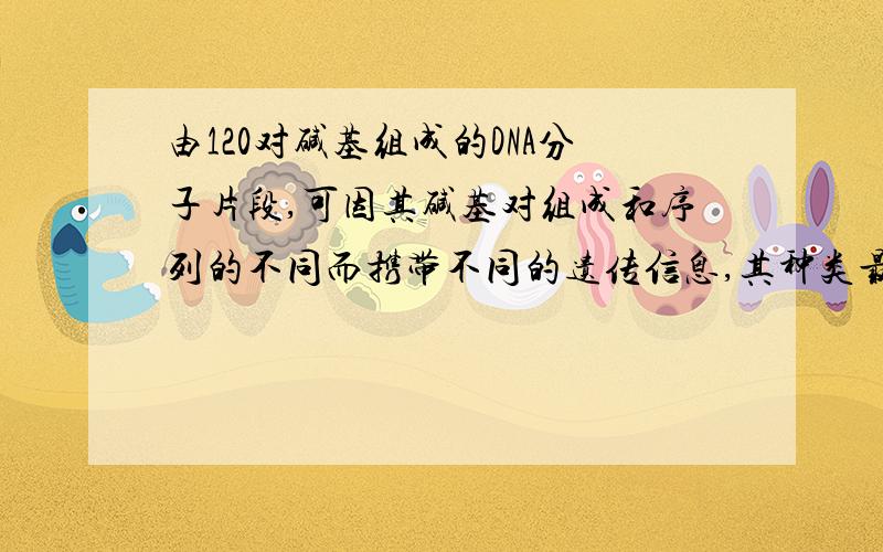 由120对碱基组成的DNA分子片段,可因其碱基对组成和序列的不同而携带不同的遗传信息,其种类最多可达多少