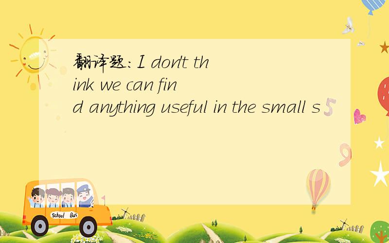 翻译题：I don't think we can find anything useful in the small s